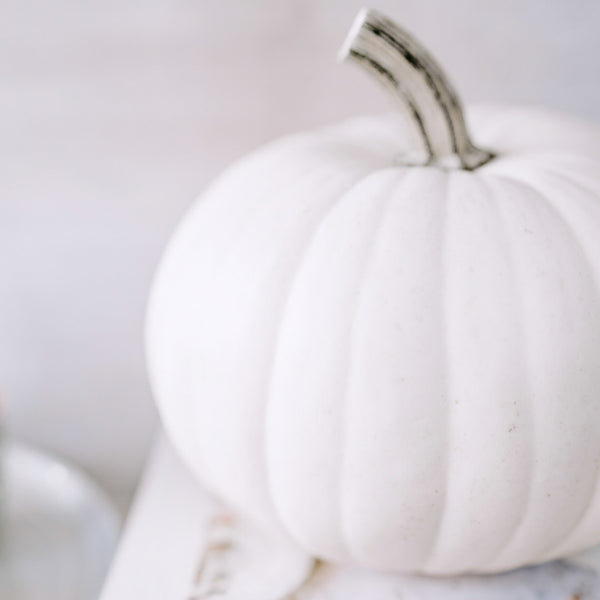 Embracing The Beauty Of White Pumpkins